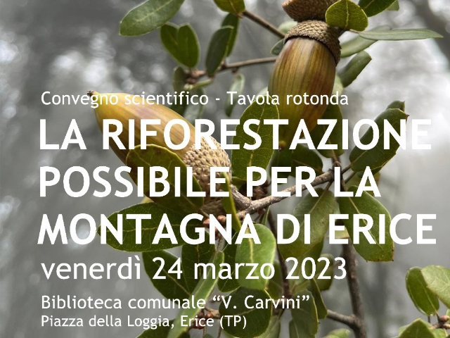 “La riforestazione possibile per la montagna di Erice”. Convegno venerdì 24 marzo alla biblioteca Carvini