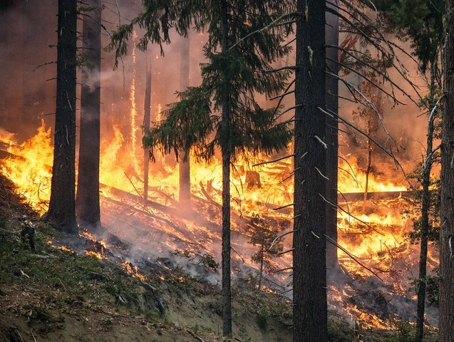Prevenzione e lotta agli incendi: dal 1° maggio la pulizia dei terreni