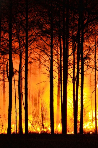 Prorogati i termini per la prevenzione e la lotta agli incendi