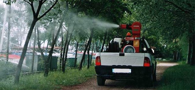 Avvio del servizio di disinfestazione larvicida anti zanzare ed altri insetti infestanti